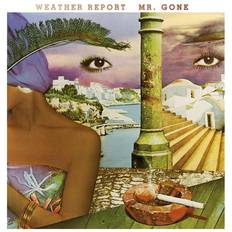 Mr. Gone Weather Report (Vinyl)