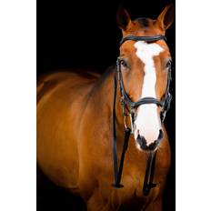 Full Brides Horseware Filet de concours Rambo Micklem Deluxe