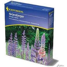 Semillas de flores Kiepenkerl Dünge-Lupine