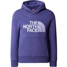 The north face drew peak hættetrøje The North Face Kids' Drew Peak Hoodie - Cave Blue