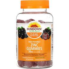 Sundown Naturals Zinc Gummies, High Potency, Elderberry, 15