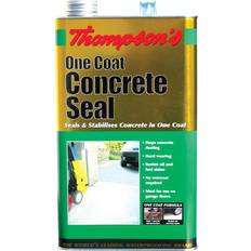 Thompsons One Coat Concrete Seal Clear Wood Paint