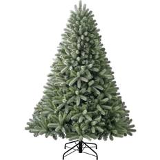 Weihnachtsbäume Evergreen Vermont Weihnachtsbaum