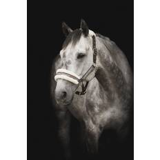 Källquist Equestrian Halter Horse Unique - Sort/Grå