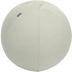 Beige Kontorindretning & Opbevaring Leitz Ergo Active Balancebold 55 cm