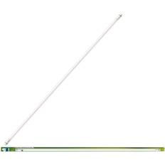 Lyskilder Philips LED Tube EM T8 20W 58W 3700 lm