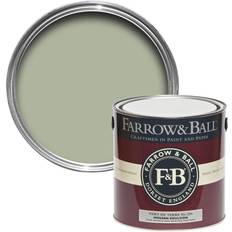 Farrow & Ball No.234 Wall Paint Earth Green 2.5L