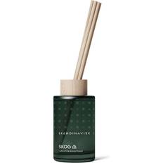 Skog Duft Diffuser 100 Ml Duftpinde Glas 20324