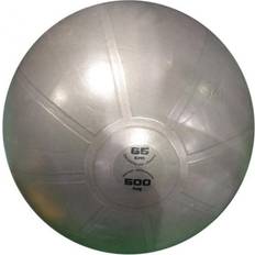 Toorx ABS Träningsboll 65 cm