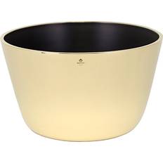 Kolte Bowl