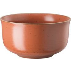 Rosenthal Dessertskåle Rosenthal Nature Abrikos Dessertskål 13cm