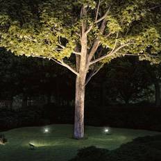 Bevægelsessensorer - IP65 Spotlights Paulmann Plug & Shine Spotlight