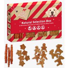 Rosewood Meaty Dog Treats Christmas Box