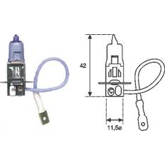 Voertuigverlichting uitverkoop Magneti Marelli Autolampen Gloeilamp 12 55 H3 PK22s