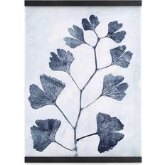 Wall Sticks Magnets Black Oak 29.7 cm