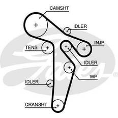 Gates Timing Belt 5648XS