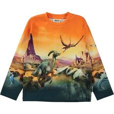 Molo Orange Sweatshirts Molo Sweat Shirt, Dino Planet