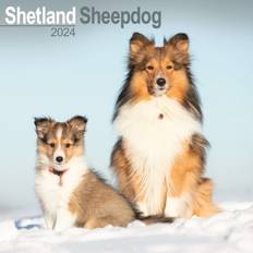 Avonside Shetland Sheepdog Calendar 2024 Square Dog Breed Calendar