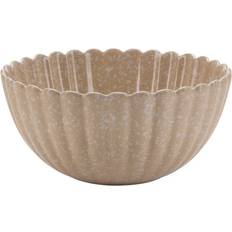 Interior Clam