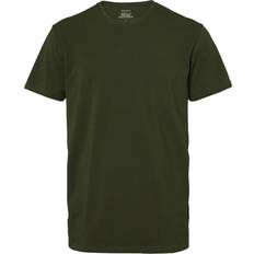 South West Norman T-shirt Green