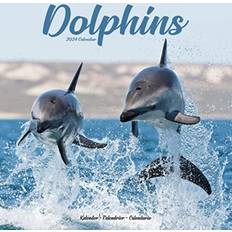 Office Supplies Avonside Dolphins Calendar 2024