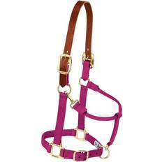 Weaver Leather Nylon Adjustable Breakaway Horse Halter - Raspberry