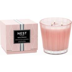 Interior Details NEST New York Himalayan Salt & Rosewater Scented Candle 21.2oz