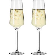 Celebration champagneglas Ritzenhoff Celebration Deluxe Champagneglas 23cl 2st