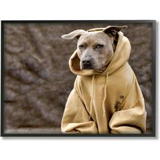 Interior Details Stupell Industries Beautiful Dog Wearing Cozy Yellow Hoodie Photography Photograph Framed Art 20x16"