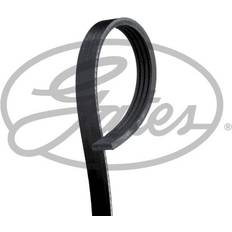 Multi-Ribbed Belt