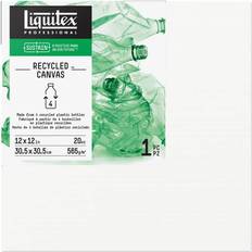 Canvas sale Liquitex Recycled Plastic Canvas deep edge 12 in. x 12 in