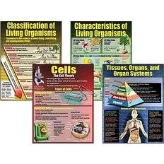 Brown Posters Teacher Created Resources Teacher Created Organisms Teaching Poster