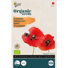 Cheap Flower Seeds Økologisk Kornvalmue frø