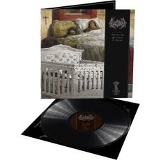 Musik The Arrow of Satan is Drawn Bloodbath (Vinyl)