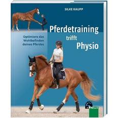 Reitsport Pferdetraining trifft Physio