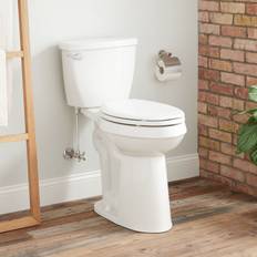 Dry Toilets Signature Hardware Bradenton 2-Piece 1.28 GPF Single Flush Elongated Toilet in White