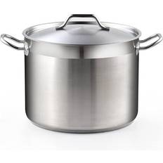 Ceramic Hob Stockpots Cooks Standard Professional with lid 4.99 gal 12.6 "