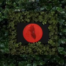 Musik Moses Sumney Live From Blackalachia (Vinyl)