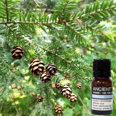 Essentiel Olie Gran Spruce 10 ml