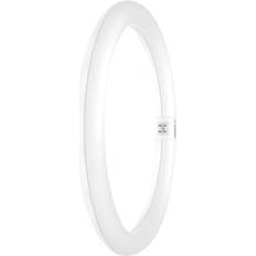 Osram LED Lampa G4 2700K 0,6W 5W