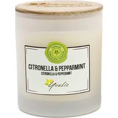 Yvelis Eteriskt Citronella Doftljus