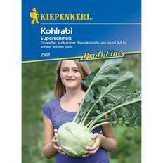 Günstig Blumensamen Kiepenkerl Kohlrabi Superschmelz ca. 60 Pflanzen 0693108962