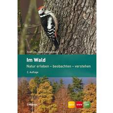 PC-Spiele Im Wald: Natur erleben - beobachten verstehen