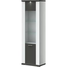 Grau Vitrinen Primo Titan Vitrine