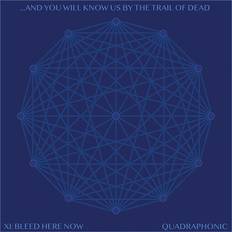Musik XI: Bleed Here Now [LP] VINYL (Vinyl)