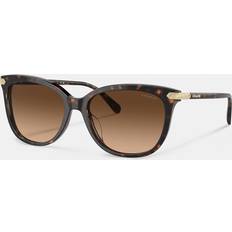 Coach Adult Sunglasses Coach CL926 Sunglasses, Gradient HC8378U Tortoise