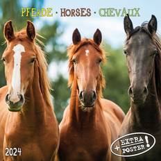 Horses Pferde 2024 Calendar