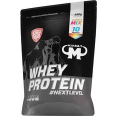 WHEY PROTEIN 10X25G MIX POUCH
