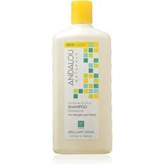 Andalou Naturals Sunflower & Citrus Brilliant Shine Shampoo