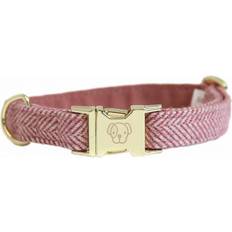 Kæledyr Kentucky Dog Collar Wool